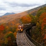 Train - orange train between fall trees