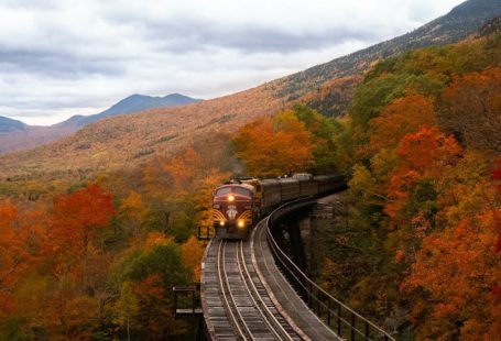 Train - orange train between fall trees