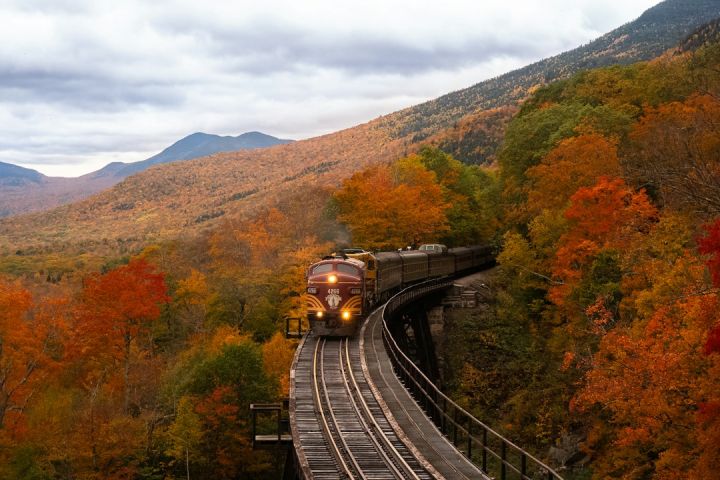 Train - orange train between fall trees