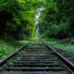 Train - train rail surround by trees
