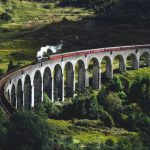 Train - train on bridge surrounded with trees at daytime