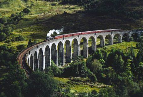Train - train on bridge surrounded with trees at daytime