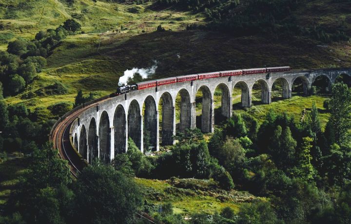 Train - train on bridge surrounded with trees at daytime