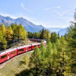 Train - red and white train near trees during daytime
