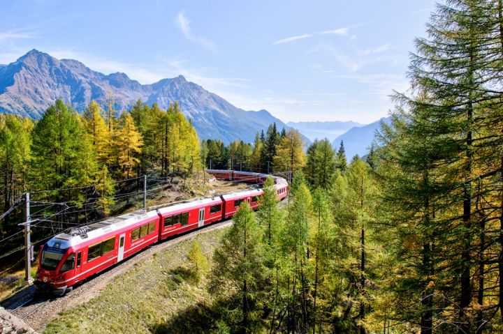 Train - red and white train near trees during daytime