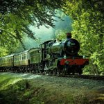 Train - black and red train passing through forest