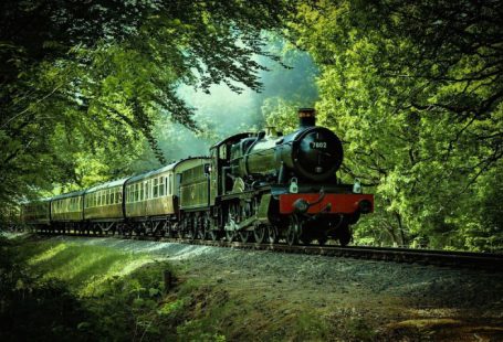 Train - black and red train passing through forest