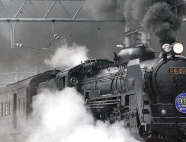 How to Ensure Train Ticket Refunds and Exchanges?
