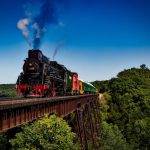 Train - train, locomotive, travel