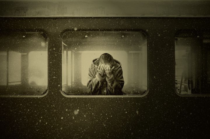 Train - woman, train, train compartment