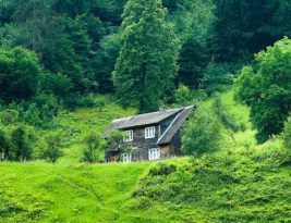 How to Capture Stunning Scenery from a Train Window?