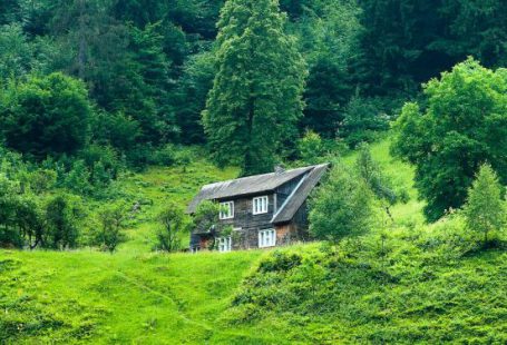 Scenery - Brown Wooden House Surrounded by Green Trees