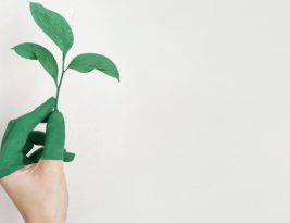 How to Choose Eco-friendly Train Travel Options?