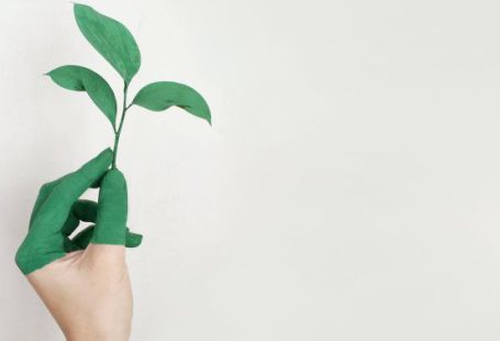 Eco-Friendly - Person's Left Hand Holding Green Leaf Plant