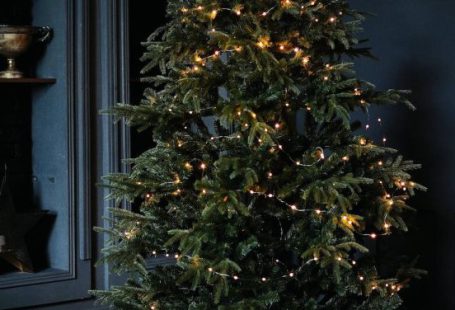 Holiday Seasons - Tall green Christmas tree decorated with small glowing garlands and surrounded by shelves and bunch of boxes with gifts in dark room