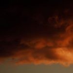 Extreme Weather - Silhouette of Trees Under Orange Sky