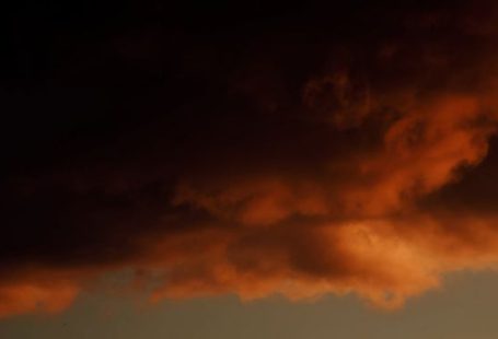 Extreme Weather - Silhouette of Trees Under Orange Sky