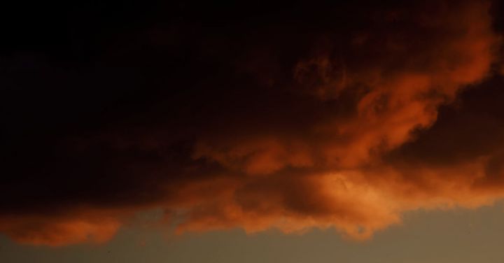 Extreme Weather - Silhouette of Trees Under Orange Sky